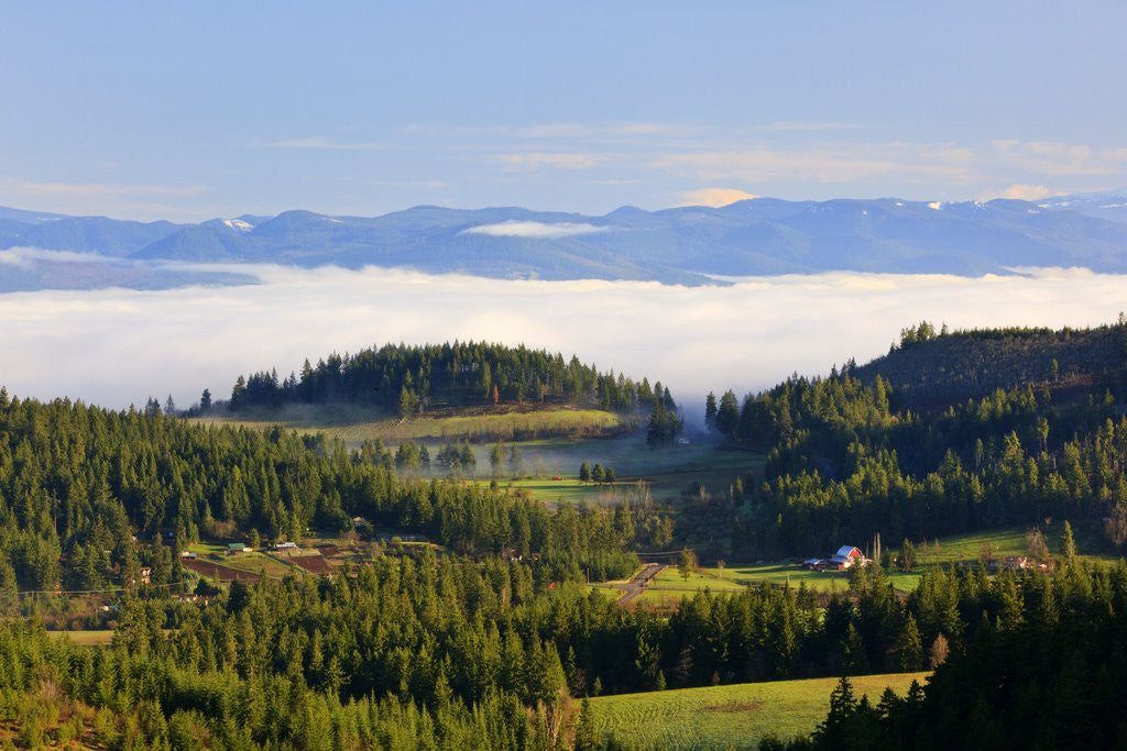 Detail of Morning fog covers Hood River Valley, Oregon, USA by Anonymous