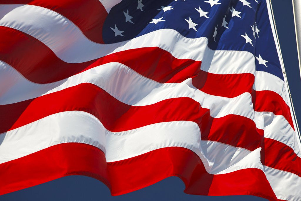 Detail of American flag blowing in wind by Anonymous