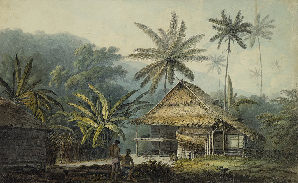 Detail of View in the Island of Crakatoa by John Webber
