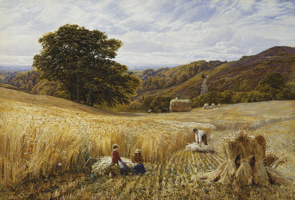 Detail of Harvest Time Near Holmbury Hill, Surrey by George Vicat Cole