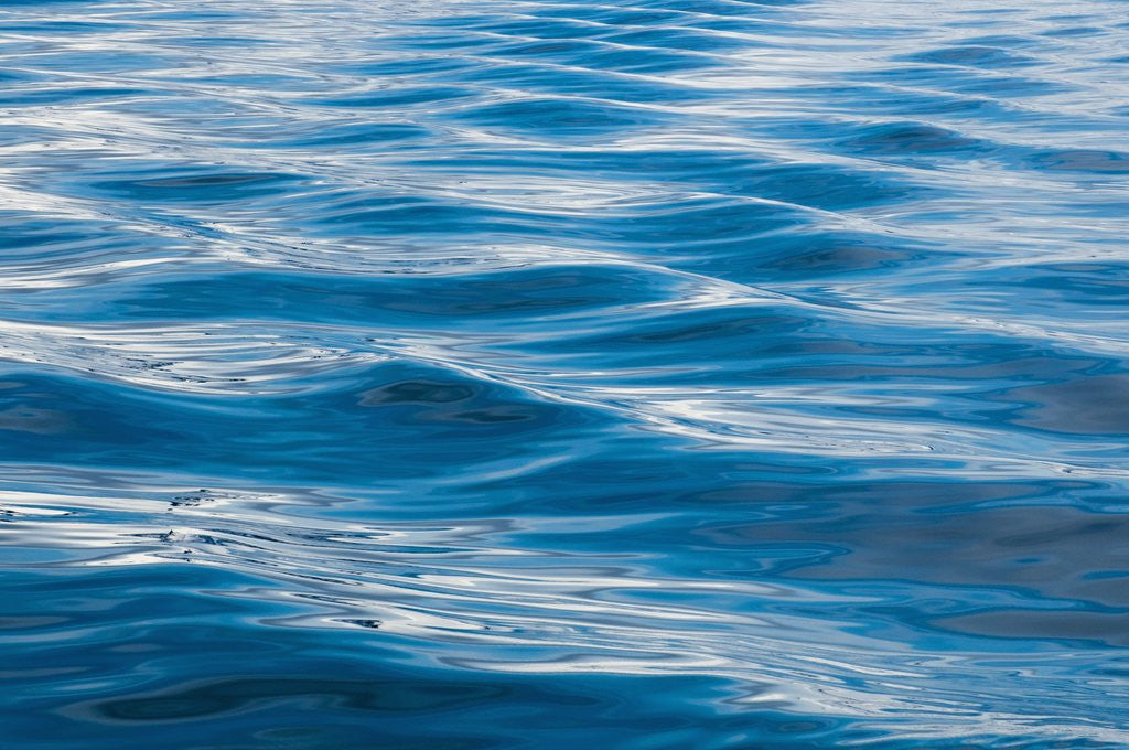 Detail of Water reflection by Anonymous