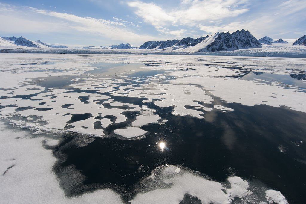 Detail of Monaco Glacier, Spitzbergen by Anonymous