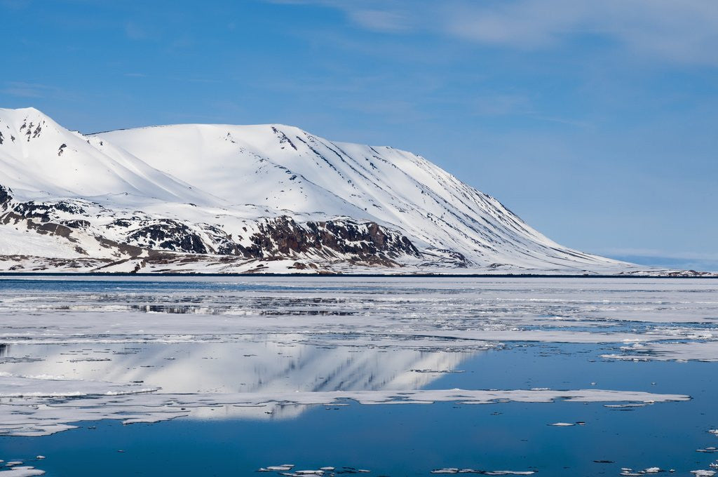 Detail of Monaco Glacier, Spitzbergen by Anonymous