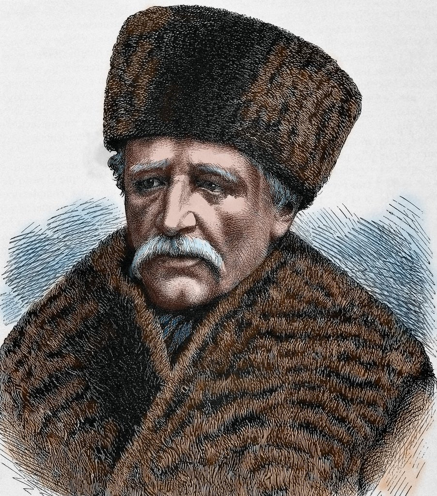 Detail of Nordenskjold (Nordenskiold), Adolf Erik, Baron (1832-1901) by Anonymous