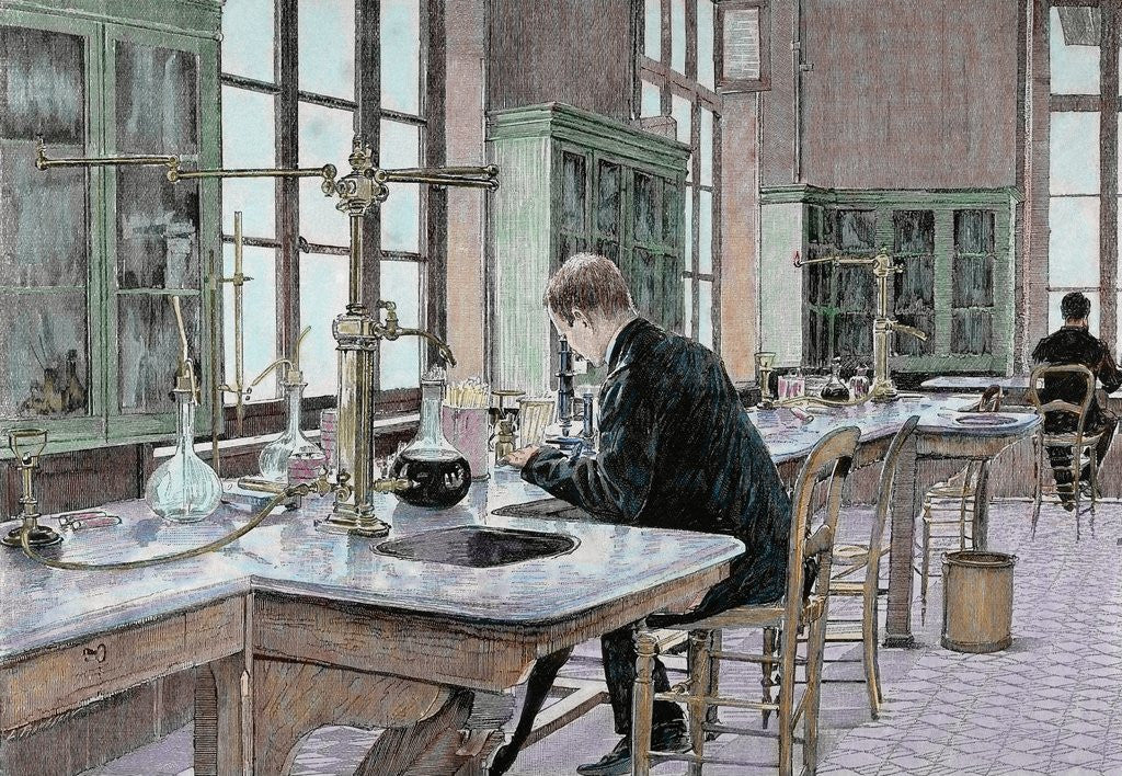 Detail of Pasteur, Louis (1822-1895) by Anonymous