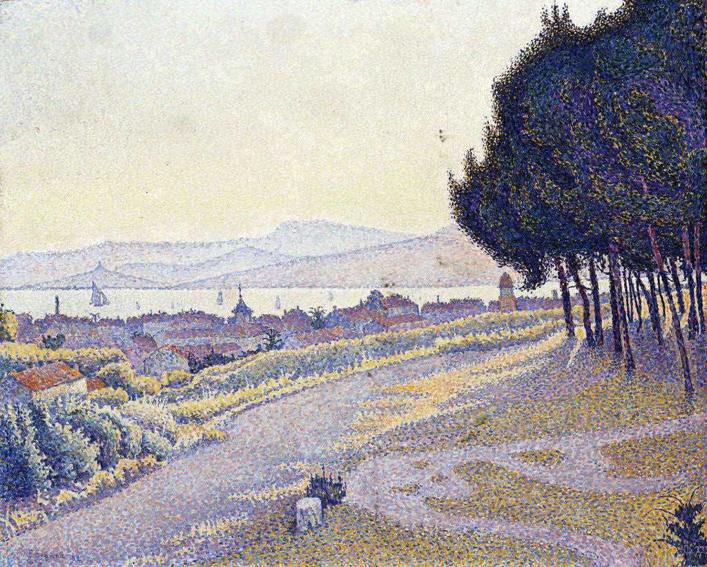 Detail of Pinewood, St. Tropez by Paul Signac