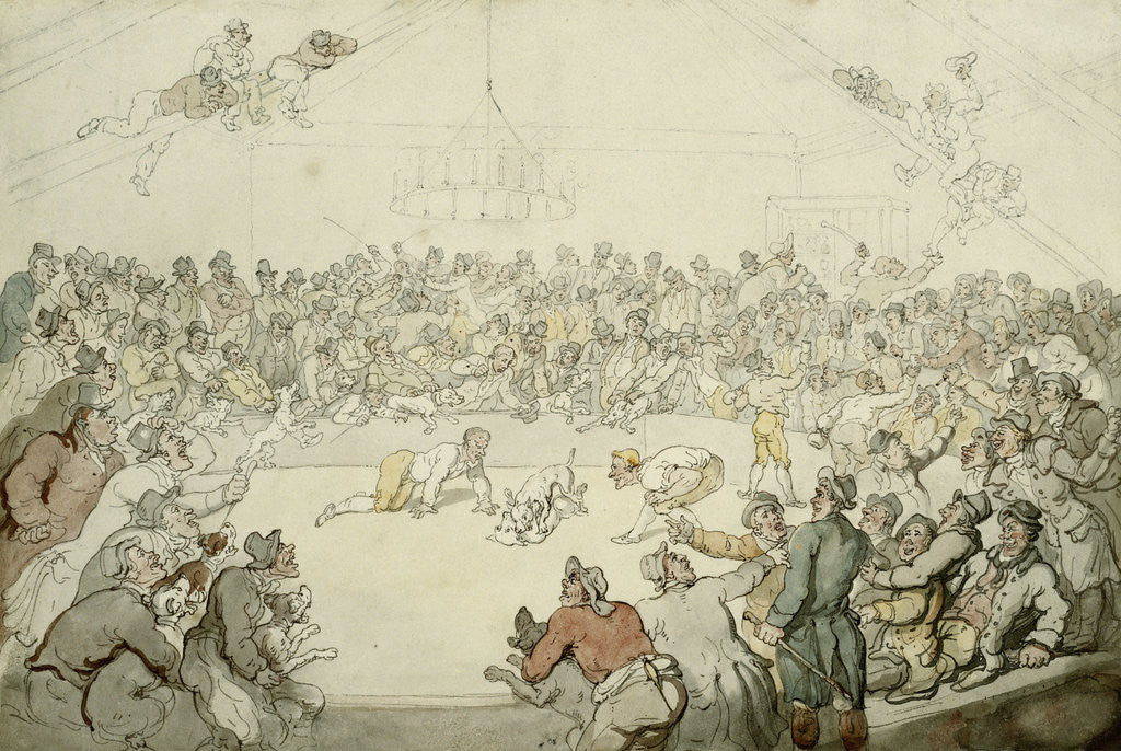 Detail of The Westminster Pitt by Thomas Rowlandson