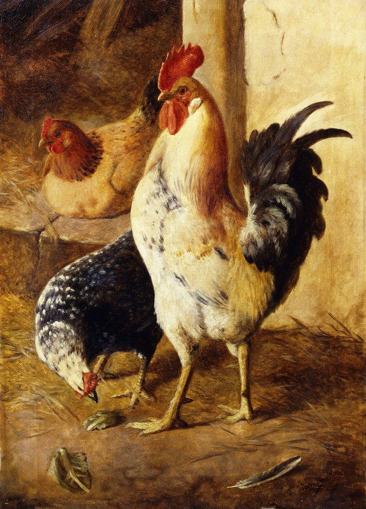 Detail of A Cockerel and Chickens in a Farmyard by Federico Jimenez Fernandez