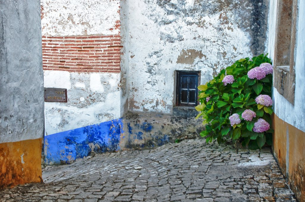 Detail of Street along Obidos, one of the most picturesque medieval villages in Portugal by Anonymous