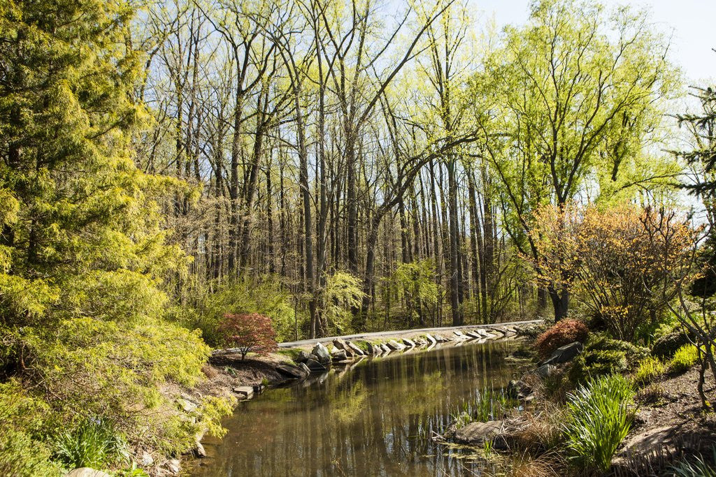 Detail of Shades of green mark Spring by Anonymous