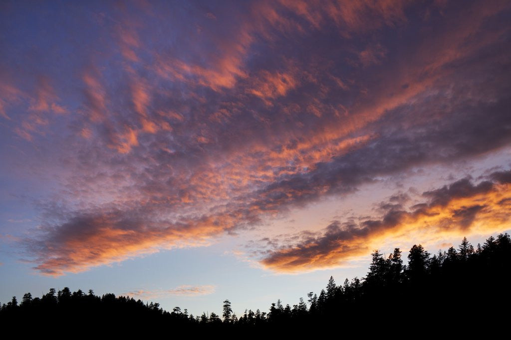 Detail of Desolation Sound, BC, Canada by Anonymous