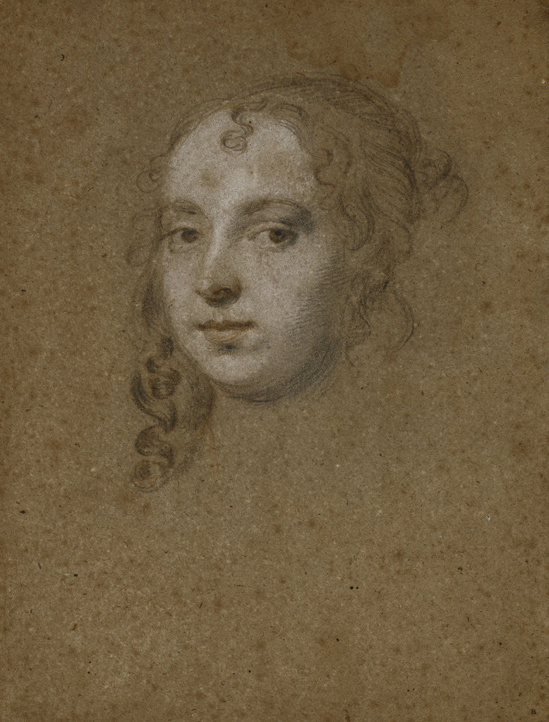 Detail of Portrait Head of a Lady by Peter Lely