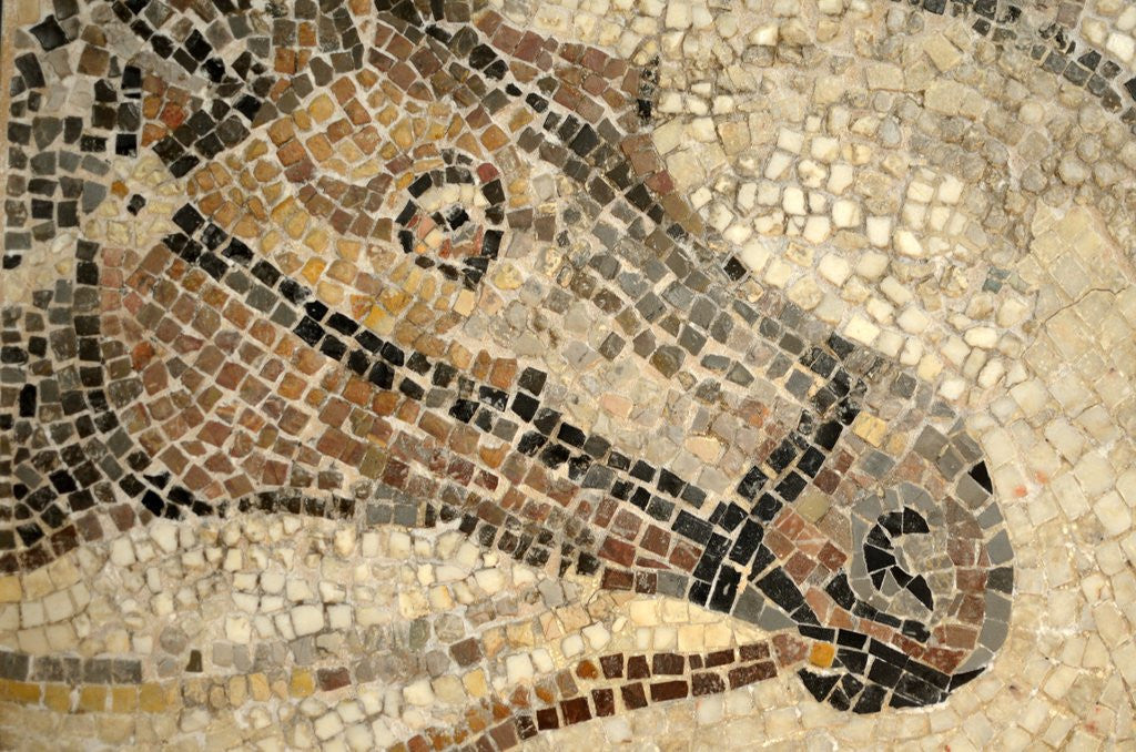 Detail of Horse Roman Floor Mosaic by Anonymous