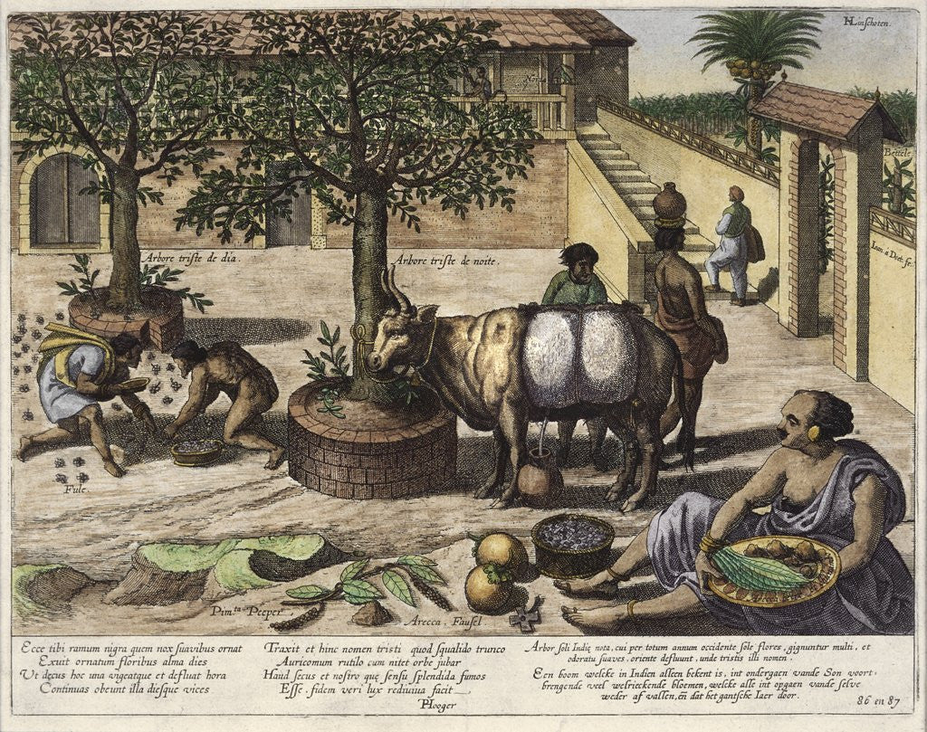 Detail of Jan Huygen van Linschiten illustration by Anonymous
