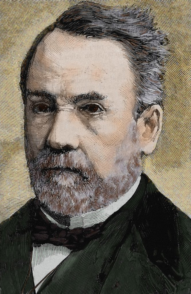 Detail of Pasteur, Louis (1822-1895) French chemist and bacteriologist by Anonymous