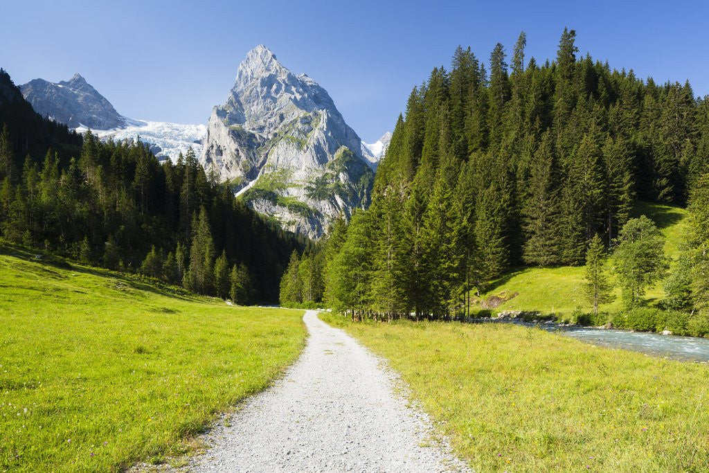 Detail of Rosenlaui Valley by Anonymous