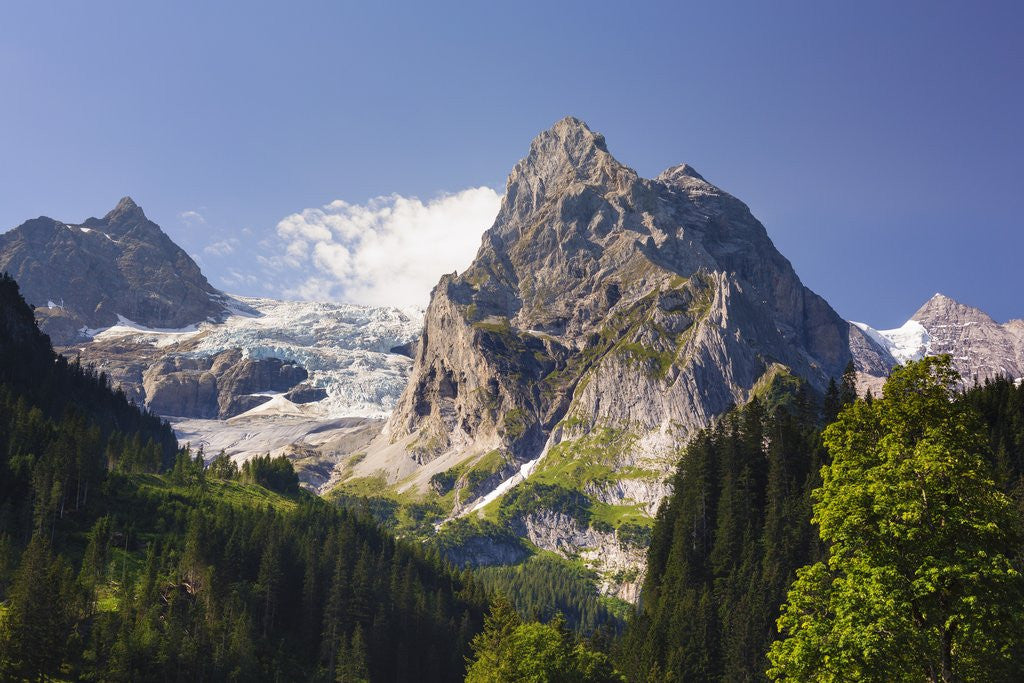 Detail of Rosenlaui Valley by Anonymous
