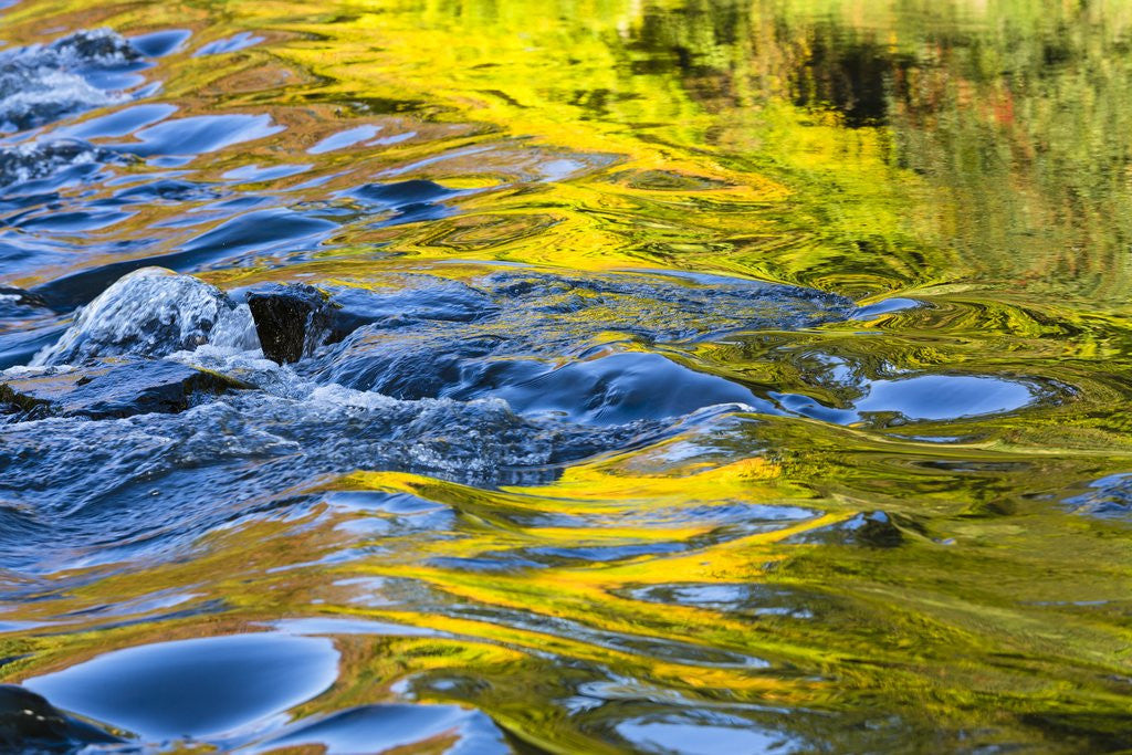 Detail of Colorful water surface by Anonymous