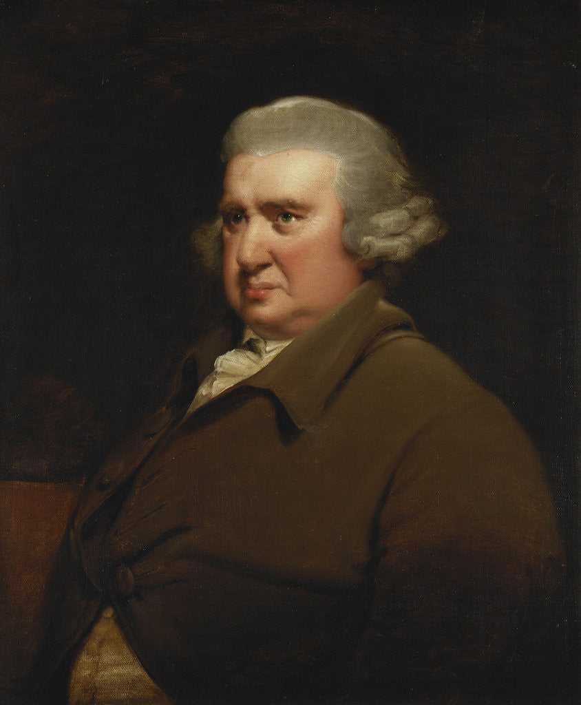 Detail of Portrait of Erasmus Darwin, half length, in a Buff Coat and White Shirt by Joseph Wright of Derby