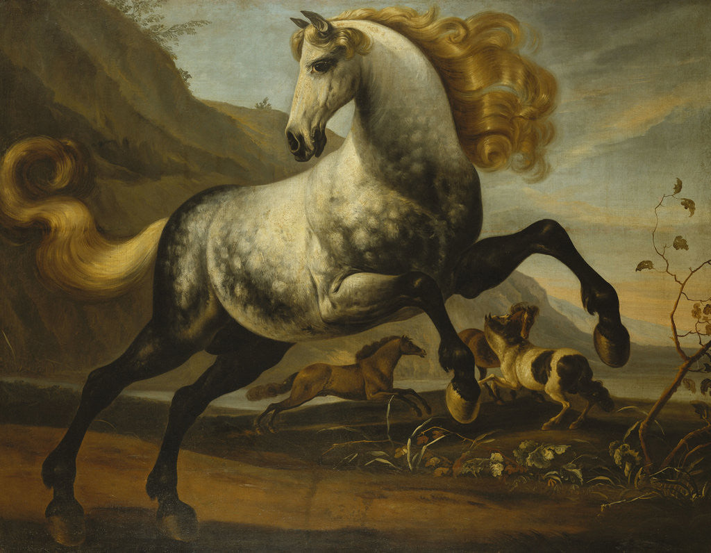 Detail of A Grey Prancing Stallion with Flowing Mane with Stallions Fighting in a Rocky Landscape by Corbis