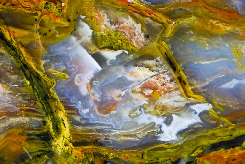 Detail of Rainbow Ridge Picture Agate by Anonymous
