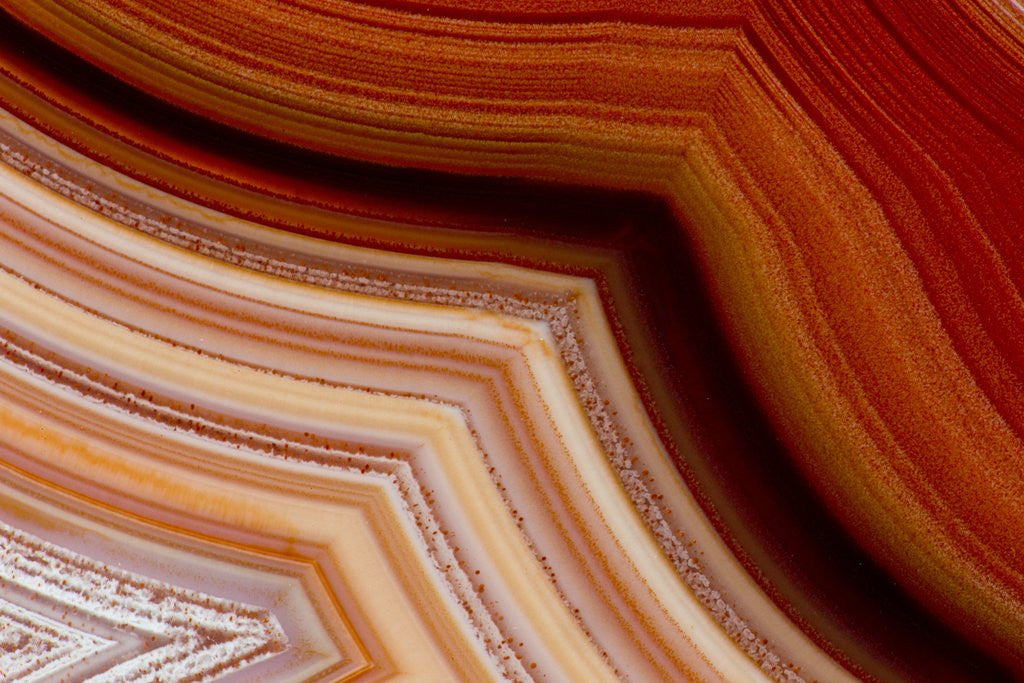 Detail of Close-up of Fortification Laguna Agate by Anonymous