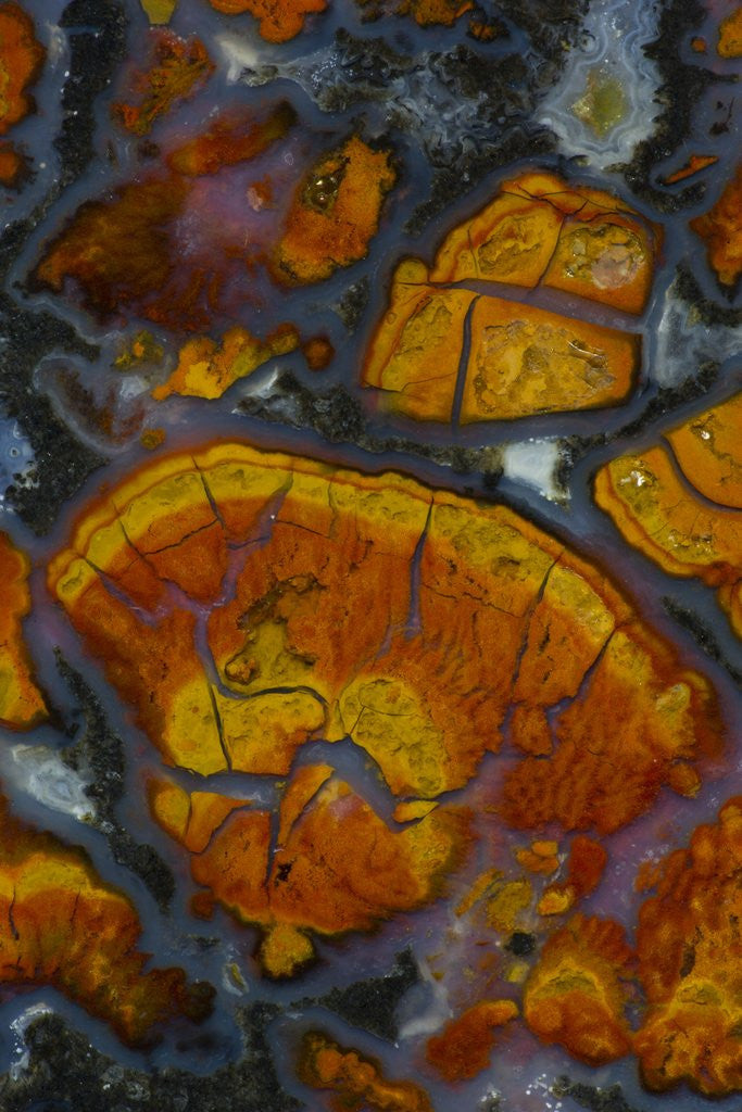 Detail of Wingate Pass Agate, Ca by Anonymous