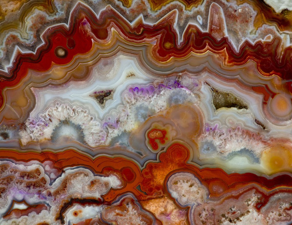 Detail of Zig Zag Pattern Crazy Lace Agate by Anonymous