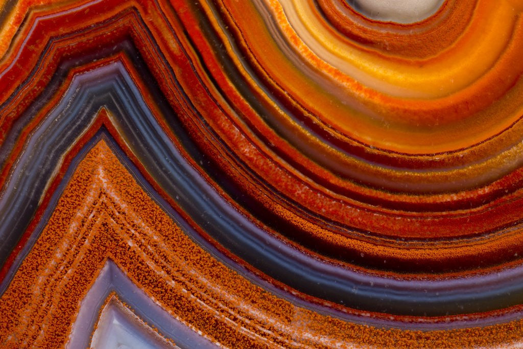 Detail of Close ups of Fortification on Crazy Lace Agate by Anonymous