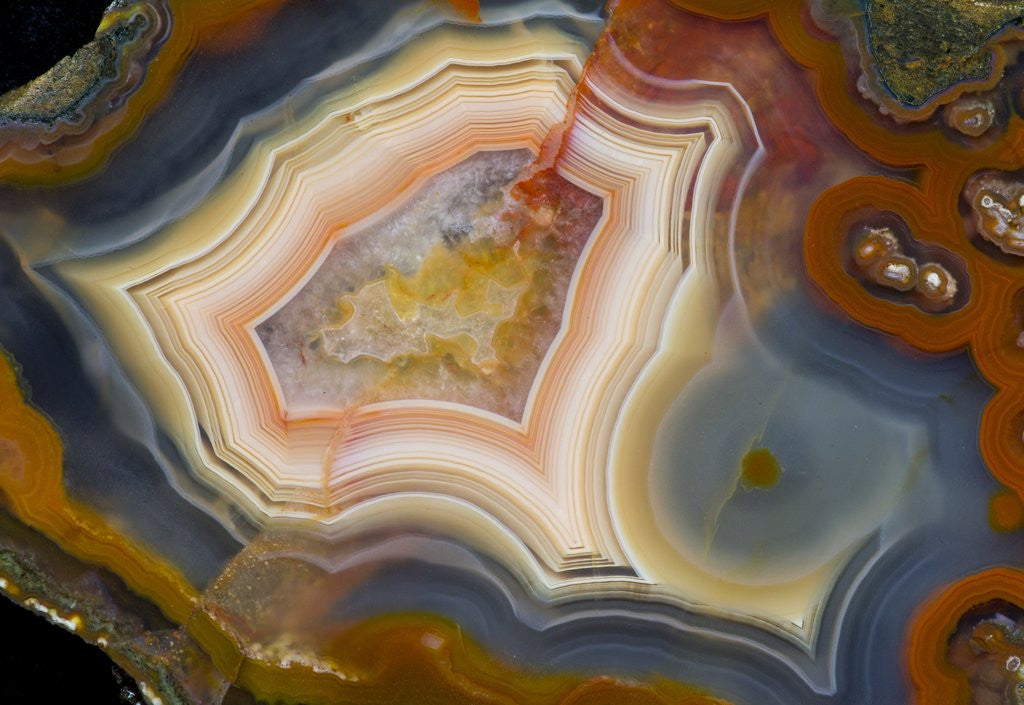 Detail of Condor Agate with fortifcations by Corbis