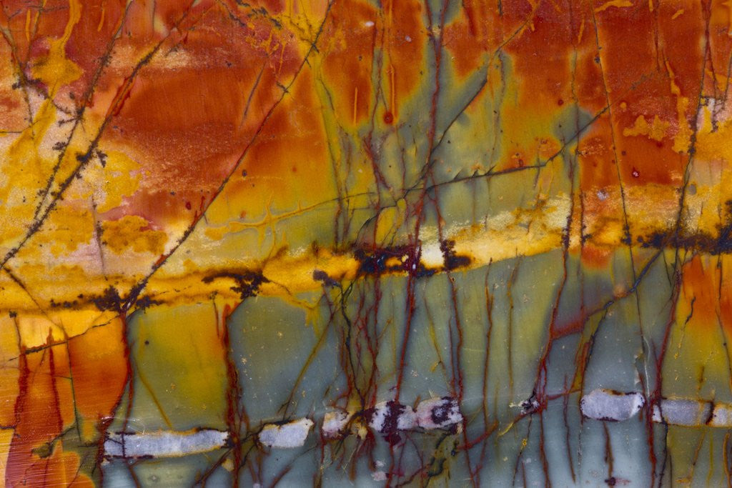 Detail of Cherry Creek Jasper by Anonymous