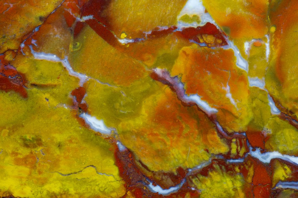 Detail of Marston Jasper by Anonymous