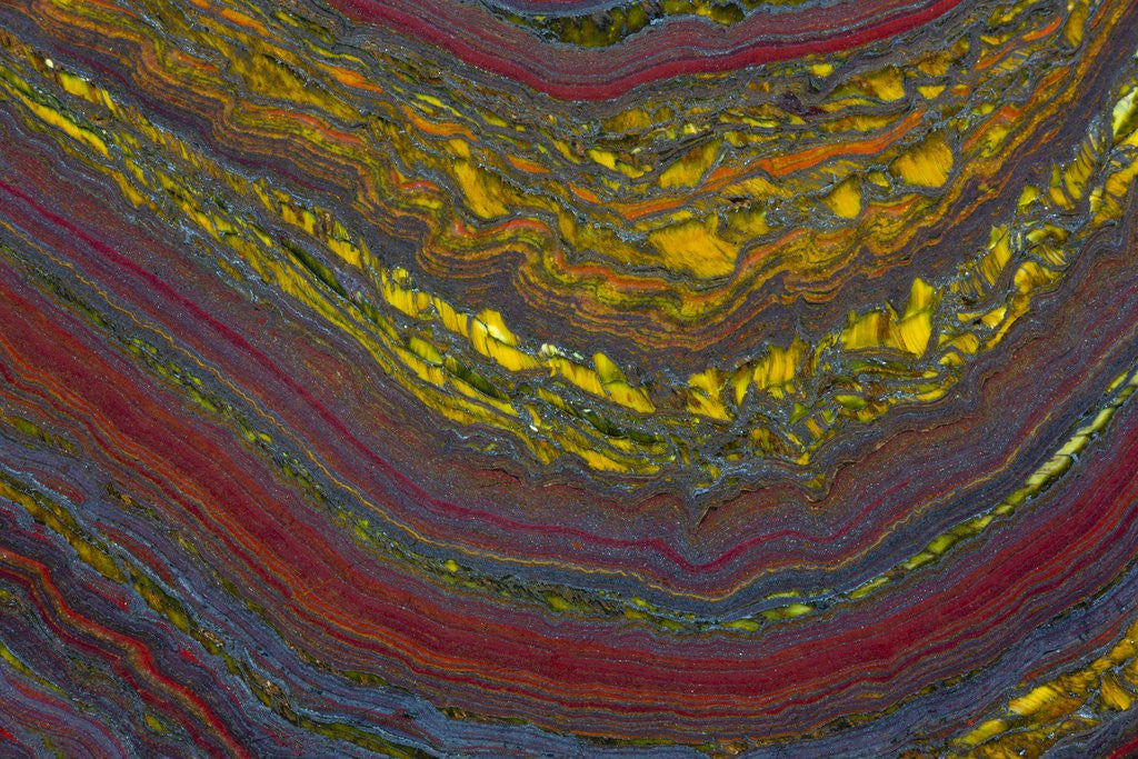 Detail of Tiger Eye by Anonymous