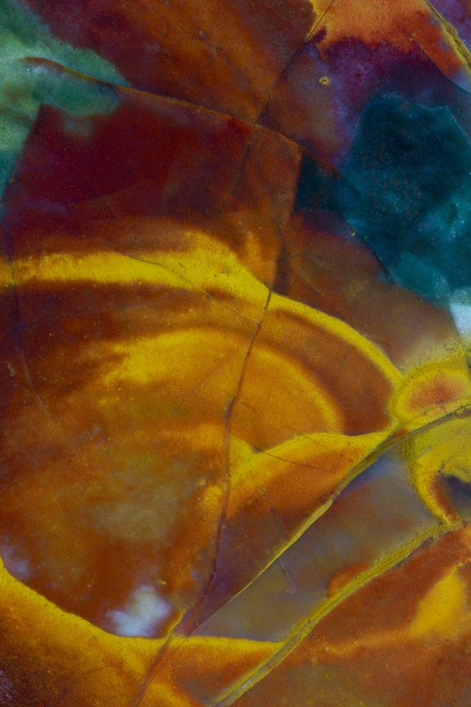 Detail of Christmas Jasper by Anonymous