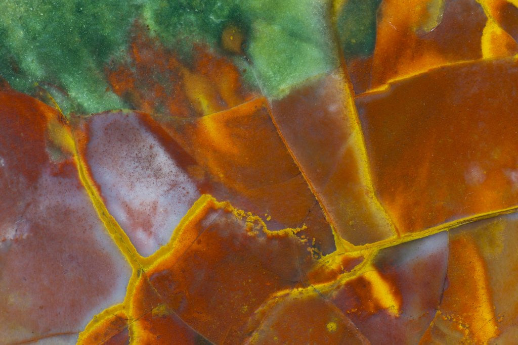 Detail of Christmas Jasper by Anonymous