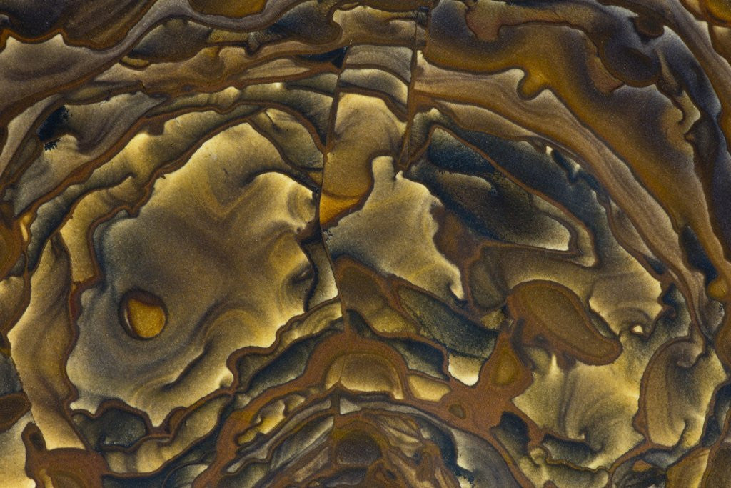 Detail of Deschutes Jasper, Oregon by Anonymous