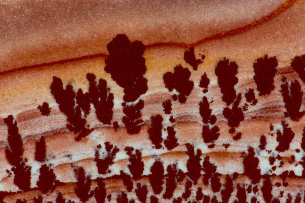Detail of Close up Apache Jasper by Anonymous