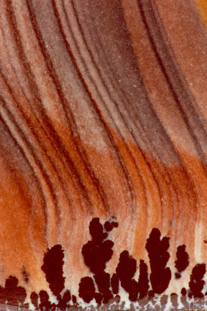 Detail of Close up Apache Jasper by Anonymous