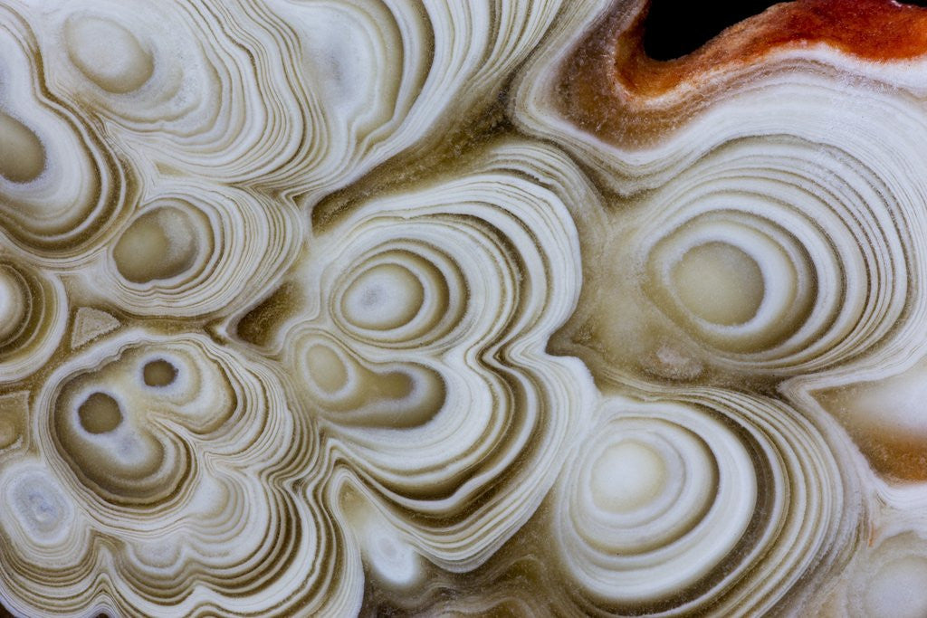 Detail of Kokoweef Staligtile by Anonymous