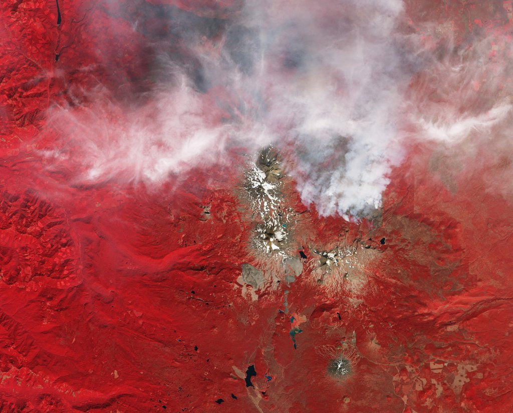 Detail of Pole Creek Fire Burning in the Oregon Cascades by Anonymous