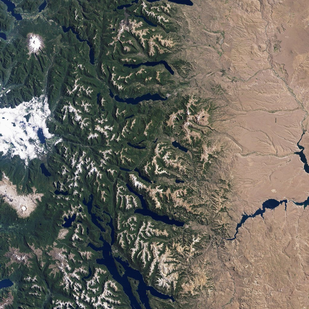Detail of Argentina's Lake District by Anonymous
