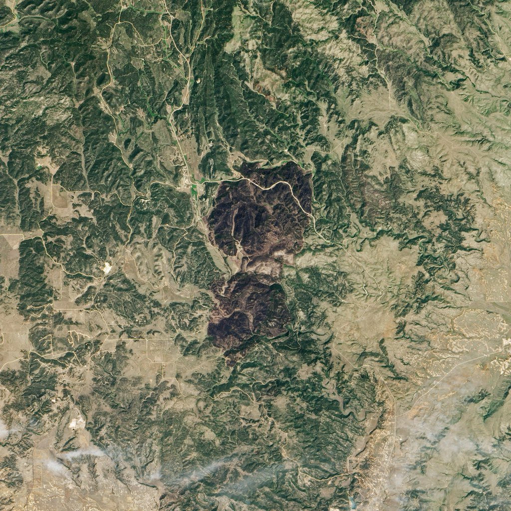 Detail of Myrtle Fire in South Dakota by Anonymous