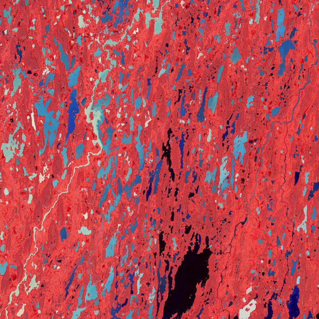 Detail of Lakes and wetlands in Nunavut, Canada by Anonymous