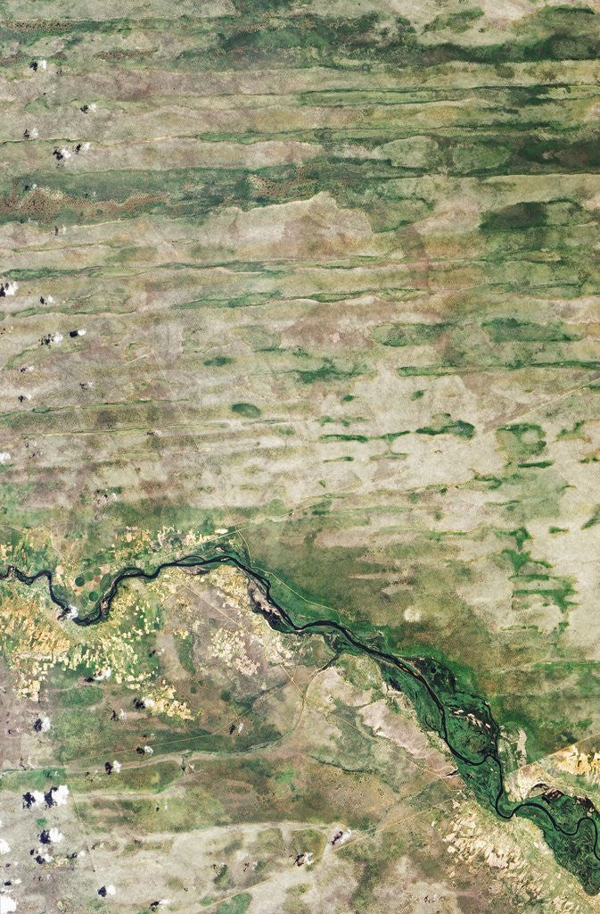 Detail of Linear Dunes of the Caprivi Strip, Namibia by Anonymous
