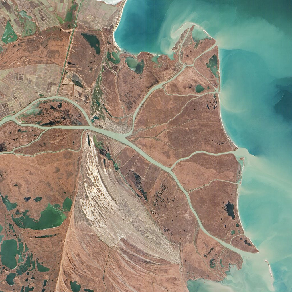 Detail of Danube River Delta by Anonymous
