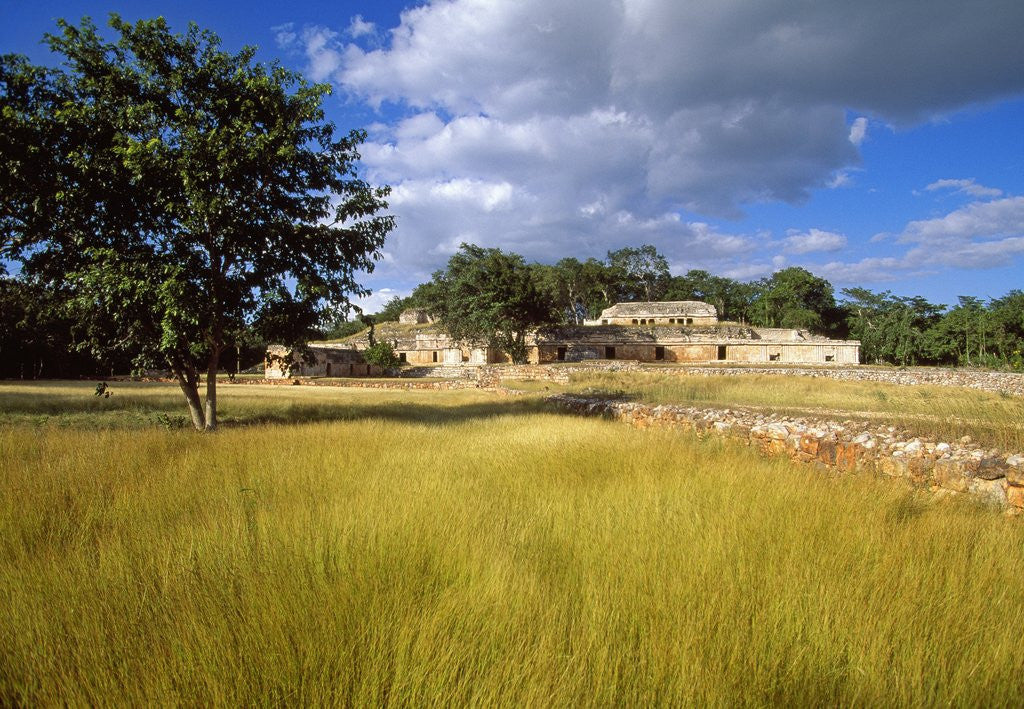 Detail of Rural scene with ruins of palace, Labna, Yucatan, Mexico by Anonymous
