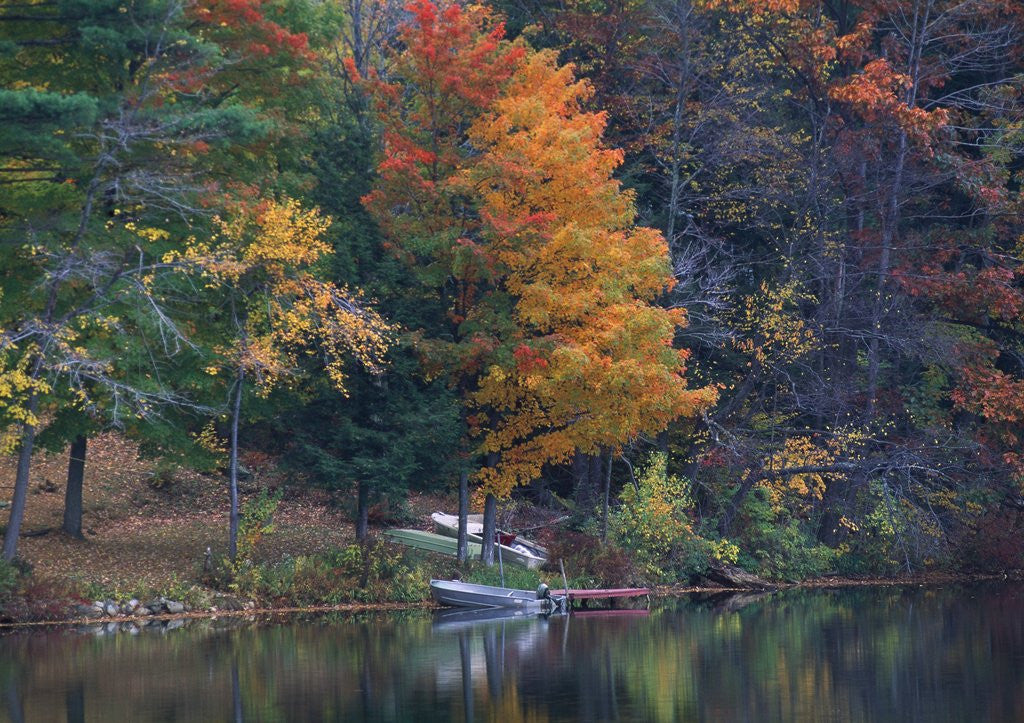 Detail of View of river and forest in early autumn, Pittsfield, Massachusetts, USA by Anonymous