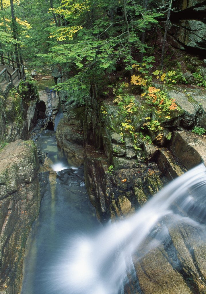 Detail of View of Sabbaday Falls, White Mountains, New Hampshire, USA by Anonymous