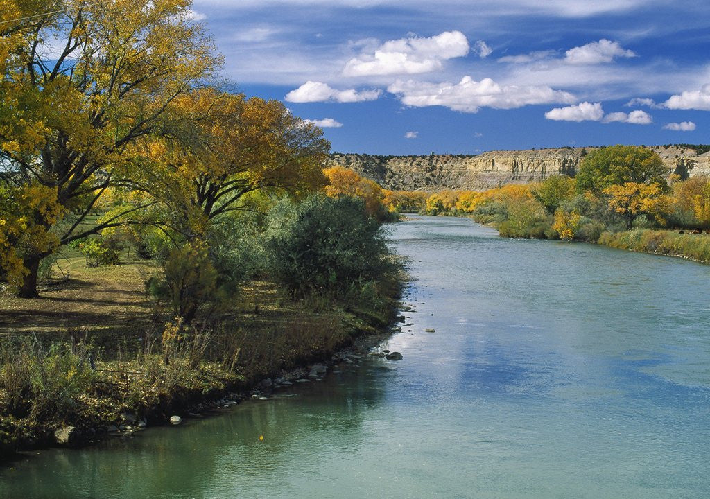 Detail of View of Animas River, New Mexico, USA by Anonymous