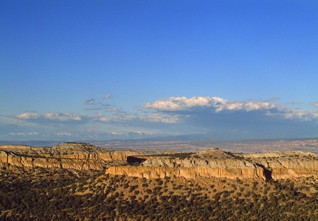 Detail of Landscape from scenic route to Los Alamos, New Mexico, USA by Corbis